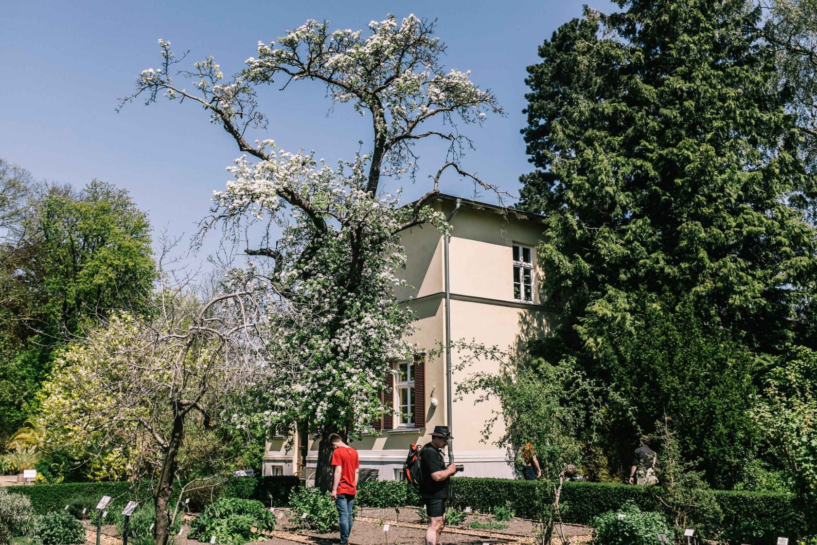 Lieblingsorte 1 Der BotanischeGarten in Greifswald