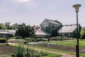 Lieblingsorte #1: Der Botanische-Garten in Greifswald